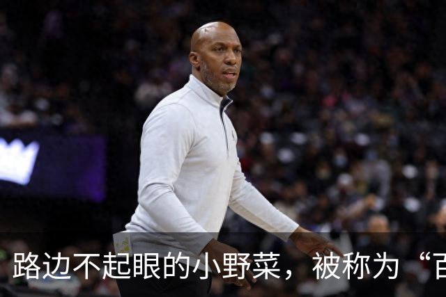路边不起眼的小野菜，被称为“百菜之主”，易种易活，盆栽也爆盆